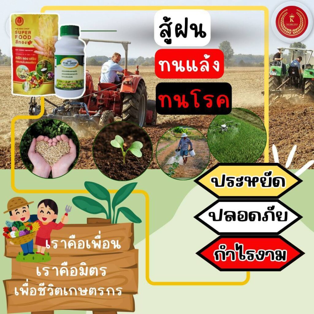 ดูแลพืชให้แข็งแรงตลอดปีด้วย Superfood ซูเปอร์ฟู้ดสีทอง
