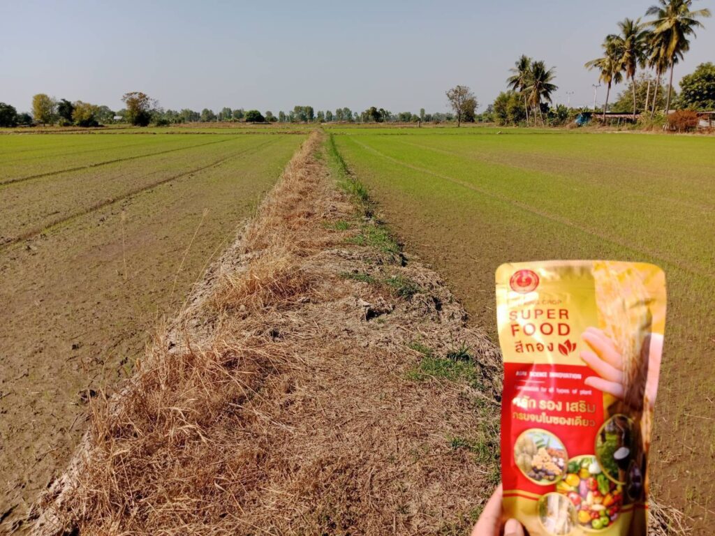ดูแลพืชให้แข็งแรงตั้งแต่ราก ด้วย Superfood ซูเปอร์ฟู้ดสีทอง