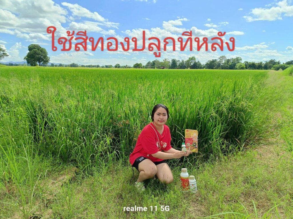 ฟื้นฟูดินเสื่อมสภาพด้วย Superfood ซูเปอร์ฟู้ดสีทอง