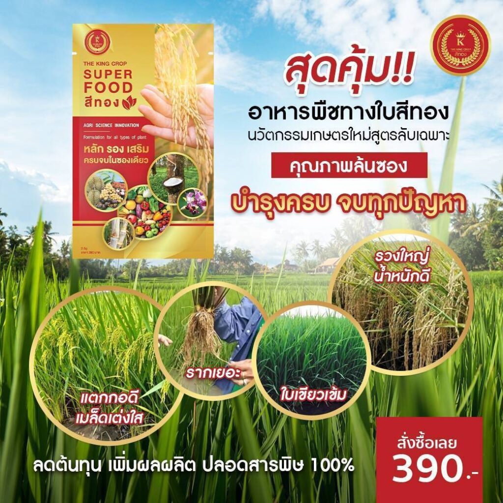 Superfood ซูเปอร์ฟู้ดสีทอง – อาหารพืชสูตรลับแห่งยุคใหม่